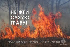 не жги траву (2).jpg